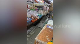 Market vendor catches python slithering through drain