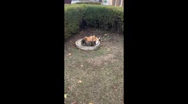Cats huddle together on well lid to stay warm