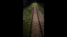 Snake slithers onto railway track holding up locomotive in Thailand