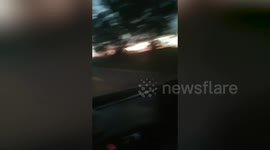 Snake slithers on windscreen of moving sedan