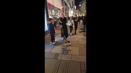 Robot Dog Taken for a Walk