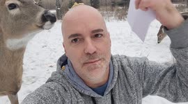 Reading Shakespeare to My Sweetest Whitetail Deer Friend