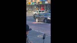 Locals stunned as motorist dressed as the Grinch drives through NYC in flash sports car
