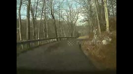 Tree Falls Right in Front of Car