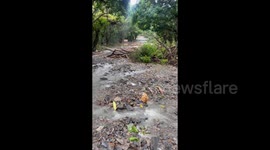 Australia: Ex-Tropical Cyclone Jasper Brings Record Rainfall To Northern Queensland 5