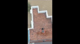 Pregnant women airlifted to safety by helicopter as flooding sweeps through India's Tamil Nadu