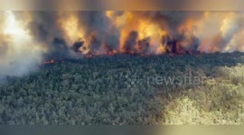 Emergency Alert for Intense Duck Creek Pilliga Forest Firefight in Narrabri, Australia