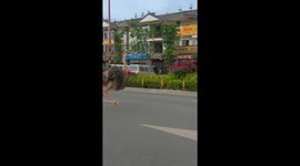 Escaped ostrich runs along road in China