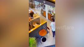 Employee slips across floor and stands up like nothing happened to serve customer
