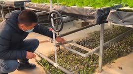 N China's Langfang works to ensure vegetable supply amid cold wave