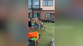 Tabby cat sit in basket of tourist's bicycle