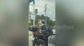 Siberian Husky dog sits behind owner on motorcycle wearing goggles