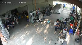 Hero pet dog brings injured squirrel to his owner for treatment