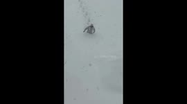 Locals struggle through waist-deep snow as winter storm stuns eastern China
