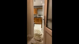 Daughter gives her dad a jump scare by hiding behind the door *Hilarious*