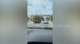 Hyperrealistic durian sculptures on back of truck amuses drivers