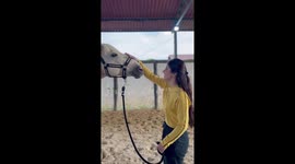 Cute Horse Giving Kisses and Hugs