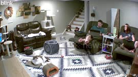 Cat Greets Security Camera