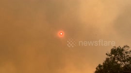South Africa: Bush Fire Breaks Out In Simon’s Town, Prompts Evacuation After Midnight
