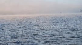 Eerie fog shrouds lake as temperatures plummet in northern Thailand