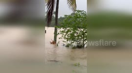'This is catastrophic': Devastated Australian woman describes floods outside her home