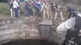 Leopard rescued by officials after falling into deep well in central India