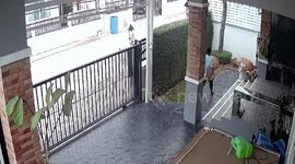 Terrified woman cleaning house runs away from snake intruder