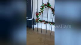 Queensland flood rescue teams save stranded residents