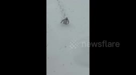 China: Severe Snowstorm Blankets City Of Weihai, Shandong In White