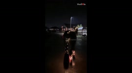 Horse joins Christmas festivity with Christmas Lights *Wholesome*