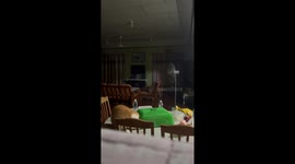 Sneaky Cat Tries to Steal Food