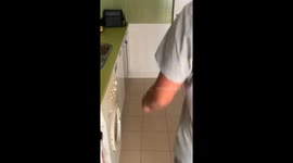 Man Tests His Dogs' Reactions