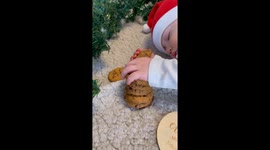 French bulldog and baby are sleeping together in santa clause outfit, holding cookies and milk