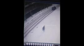 Brave motorist stops to rescue teenaged girl from dog attack in Russia