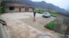 Playtime Oops: Dog Accidentally Upsets Little Girl and Frozen in Stance in Central China
