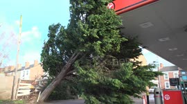 Storm Pia - Tree falls onto petrol station and remains precariously perched forcing closure, Derby, UK