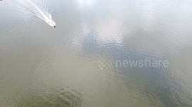 Vista aérea de mata com o mar Pequeno com visão da ponte do Mar Pequeno na Praia Grande em São Paulo