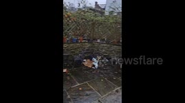 UK: Storm Pia Batters Country With Gusty Winds, Holiday Travel Disruption Expected 3