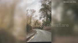Fallen tree in Derby as Storm Pia rips across the UK