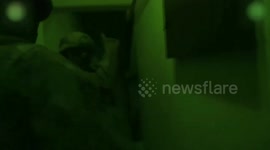 Turkish police seize 1.15 tons of drugs, 14.2 million narcotic pills: minister