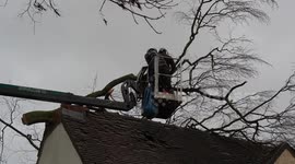 Trees damage property in Derby as Storm Pia causes chaos in UK