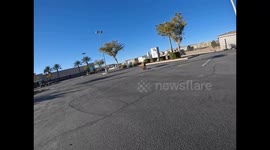 Skateboarding Dog Cruises Through Parking Lot