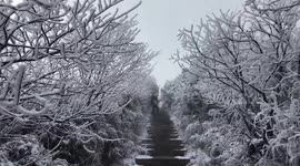 Rime Scenery After Snow at Jinfo Mountain in Chongqing, China