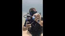 Mentos and Coke Fizz Underwater