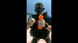 What happens when soda and Mentos are mixed...UNDERWATER