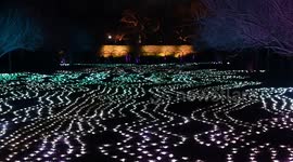 Brooklyn Botanical Garden Lightscape Celebrates Winter Solstice in NYC, USA