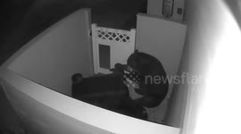 Panama City resident captures bear raiding trash can on CCTV