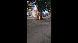 Sunchales Park tree set ablaze by boys, prompting fire extinguisher response