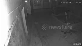 Dramatic footage shows various scenes from devastating 6.2 magnitude earthquake