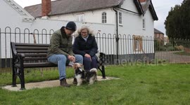 Pet owners share delight at giving horrifically malnourished dogs fresh lease of life